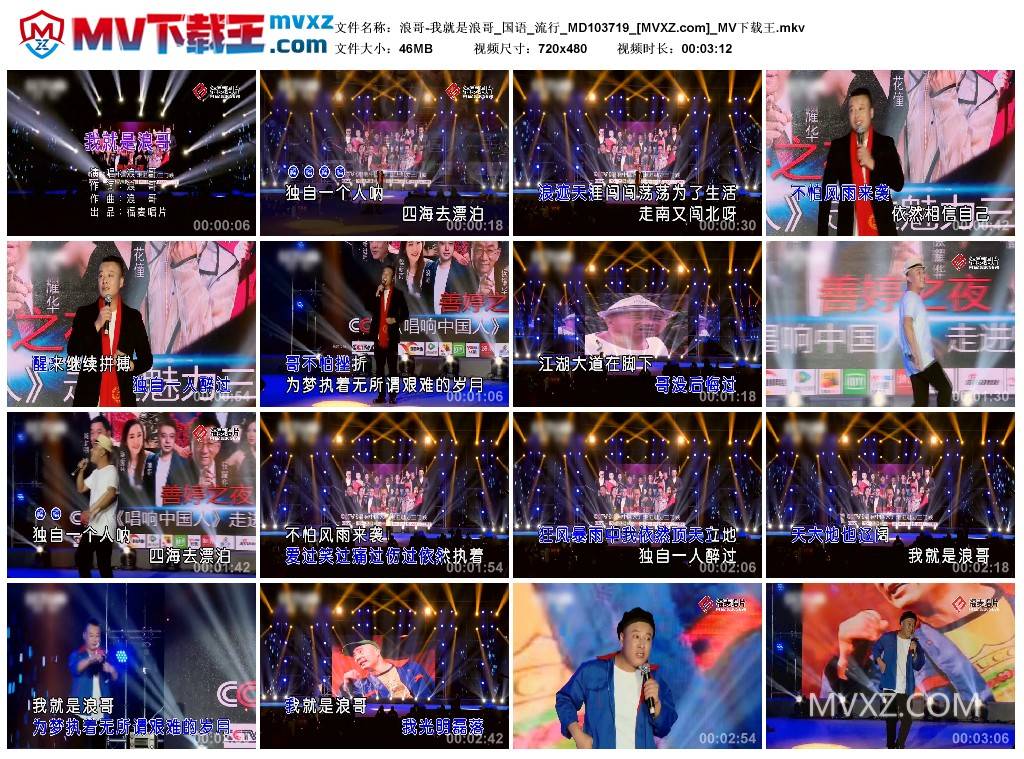 浪哥-我就是浪哥_国语_流行_MD103719